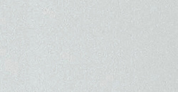 Chameleon