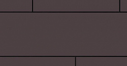 EQUITONE [pictura]